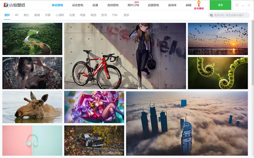 小鸟壁纸动态壁纸 v3.1124.2415.726 官方最新版 1