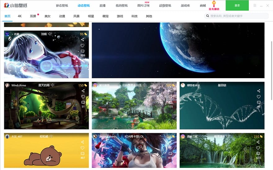小鸟壁纸动态壁纸