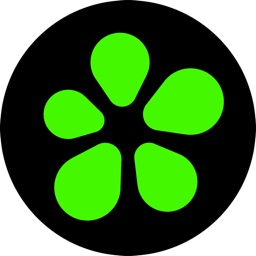 icq中文版