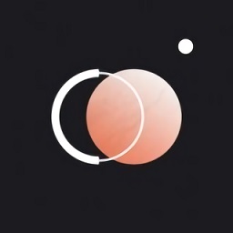 chic cam拍照软件