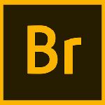 Adobe Bridge 2026中文版