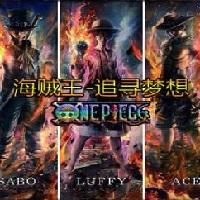海贼王追寻梦想2.0.1正式版免费版