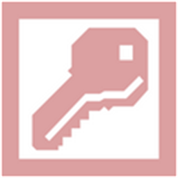 office access2007中文版