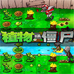 植物大战僵尸长城版电脑版官方版