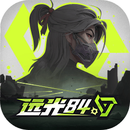远光84电脑版