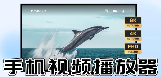 播放器下载安装