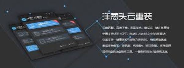洋葱头一键装机 v3.175.0.0 正式版 2